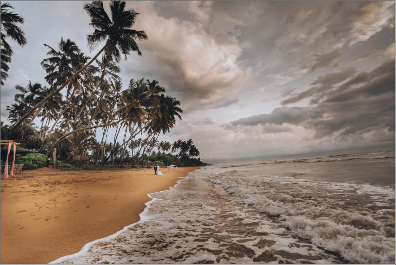 Clive Garden Beach Wadduwa Eksteriør bilde